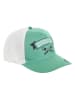 Harry Potter Pet "Harry Potter" groen