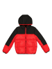 Champion Steppjacke in Rot/ Schwarz