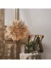 STAR Trading Papieren ster "Ice" beige - Ø 50 cm