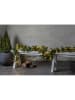 STAR Trading Ledguirlande "Ottawa" groen - (L)500 cm