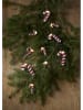 STAR Trading LED-Lichterkette "Candycane" in Rot/ Weiß- (L)135 cm