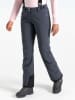 Dare 2b Ski-/snowboardbroek "Diminish" antraciet