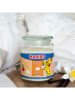 Haribo Duftkerze "Haribo Vanilla Waffle Cream" in Weiß - 510 g