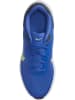 Nike Hardloopschoenen "Revolution 7" blauw