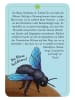 moses. Kartenspiel "50 wundersame Tierrätsel - Insekten" - ab 7 Jahren