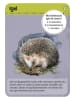 moses. Kartenspiel "50 Tiere der Nacht" - ab 6 Jahren