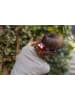 moses. LED-Kopflampe "Expedition Natur" in Schwarz