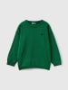 Benetton Pullover in Dunkelgrün