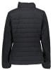 Champion Steppjacke in Schwarz