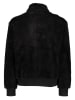 Champion Sweatshirt in Schwarz