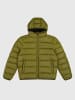 Champion Steppjacke in Grün