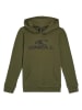 O'Neill Hoodie "Logo" in Khaki