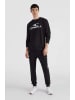 O'Neill Sweatshirt "Logo" zwart