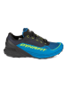DYNAFIT Buty "Ultra 50 GTX" w kolorze niebiesko-czarnym do biegania