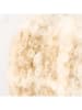 Boltze Dekoaufsteller Boucla, Kürbis, H 17 cm, Polyethylen, in Beige - (H)17 cm