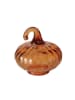Boltze 3-delige set: decoratieve objecten "Pumki" bruin/kleurloos/beige - (H)8,5 cm