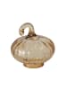 Boltze 3er-Set: Dekoaufsteller "Pumki" in Braun/ Ohne Farbe/ Beige - (H)8,5 cm