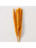 Boltze 12-delige set: decoratieve takken "Pampasgras" rood/oranje