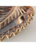 Boltze 2er-Set: Dekoschalen ''Dorit'' in Braun - (L)20 x (B)12,5 cm