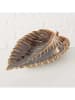 Boltze 2er-Set: Dekoschalen ''Dorit'' in Braun - (L)20 x (B)12,5 cm