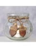 Boltze Windlicht "Tina" in Transparent/ Hellbraun - (H)11 x Ø 12 cm
