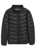 Polo Club Steppjacke in Schwarz