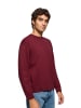 Polo Club Pullover in Bordeaux