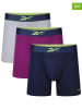 Reebok 3-delige set: boxershorts "Tully" paars/grijs/donkerblauw