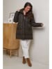 Curvy Lady Steppjacke in Khaki