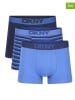 DKNY 3-delige set: boxershorts blauw/donkerblauw