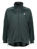 adidas Trainingsjas groen