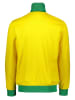 adidas Sweatjacke in Gelb/ Grün