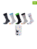 camano 5er-Set: Socken in Schwarz/ Hellgrau