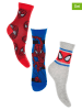 Spiderman 3-delige set: sokken "Spiderman" meerkleurig