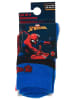 Spiderman 3-delige set: sokken "Spiderman" meerkleurig