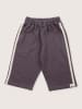 Turtledove London Sweathose in Anthrazit