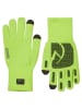 SEALSKINZ Funktionsfingerhandschuhe "Anmer" in Grün