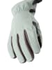 SEALSKINZ Funktionsfingerhandschuhe "Drayton" in Hellblau