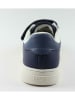 Levi´s Sneakers "Tustin" in Dunkelblau
