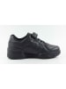 Levi´s Sneakers "Dereck" in Schwarz