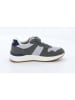 Levi´s Sneakers "Oakland" in Grau