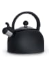 Brandt Wasserkocher in Schwarz - 3 l