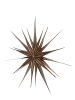 OYOY living design Kerstster bruin - Ø 60 cm