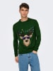 ONLY & SONS Trui groen