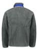 Patagonia Fleece vest grijs