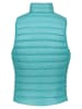 Patagonia Donsbodywarmer turquoise