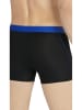 adidas 3er-Set: Boxershorts in Schwarz
