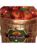 Kersten Christbaumkugel ''Apple Basket'' in Rot/ Gold -  (H)8 cm