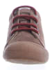 Naturino Leren sneakers "Cocoon" bruin