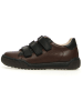 Naturino Leren sneakers "Gempe" donkerbruin